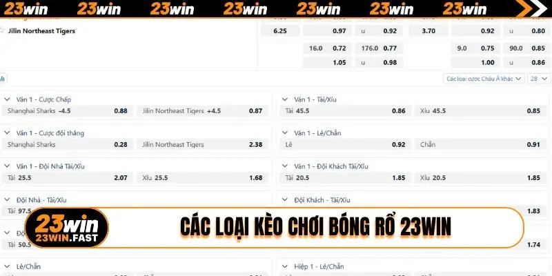 Các loại kèo chơi bóng rổ 23WIN