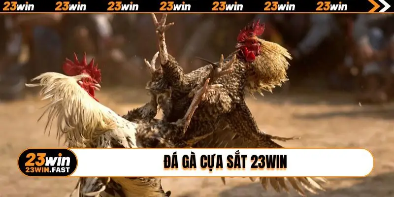 da ga cua sat 23win