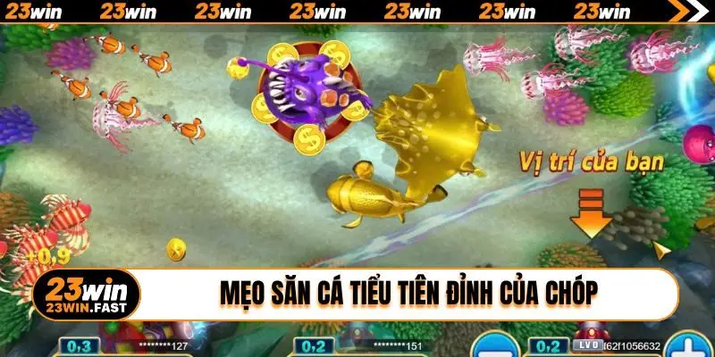 Mẹo săn cá tiểu tiên đỉnh của chóp