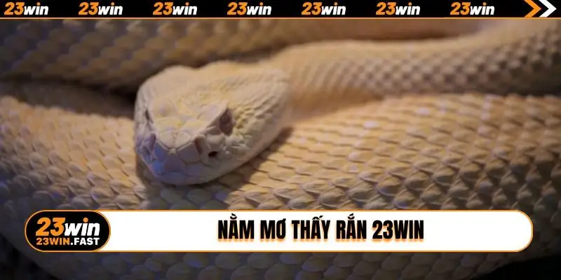 nằm mơ thấy rắn 23WIN